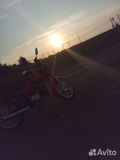 Orion Gryphon125