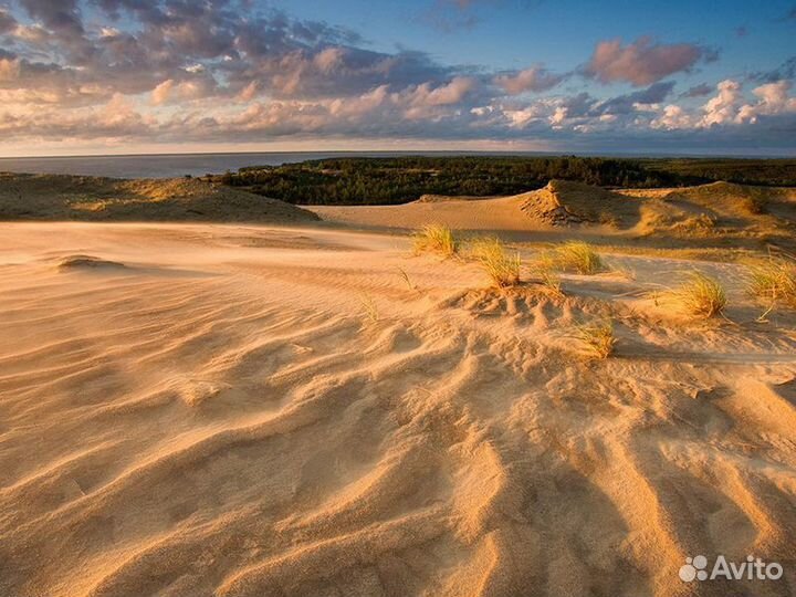 Экскурсия — Калининград — Тёплая прогулка по Куршс