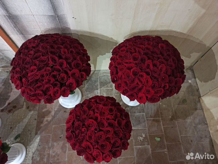101 роза, большой букет из роз, доставка