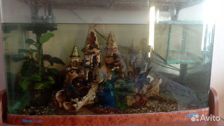 Аквариум