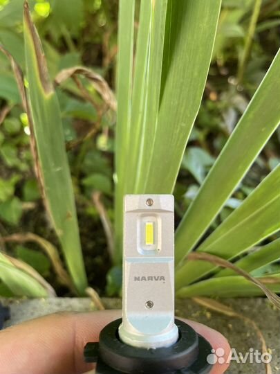 Led лампы h7 2 шт