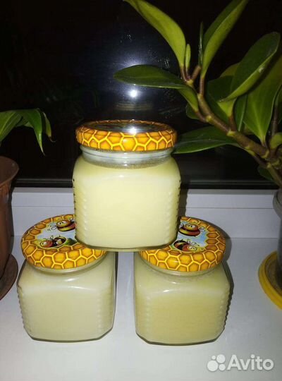 Барсучий жир