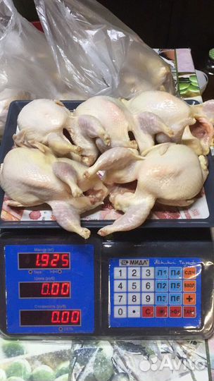 Перепела, Белый гигант, Селадоны, ия