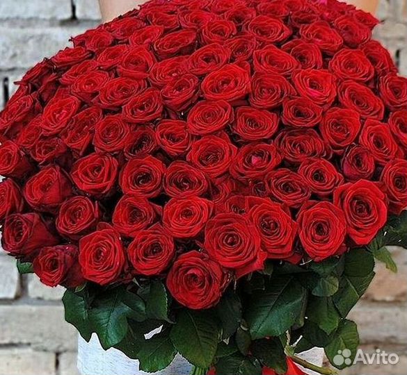 Высокие розы 150 160 170 180 190см доставка Москва