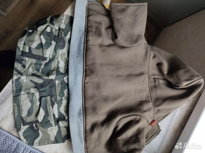 Костюм для собаки