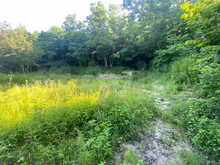 Участок 1,42 га (ИЖС)