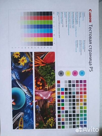 Принтер Canon image press C710