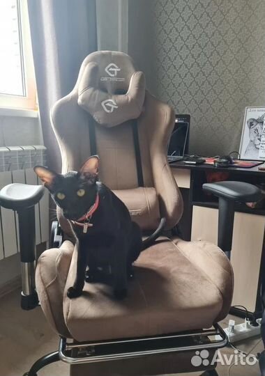 Офисное кресло (геймерское). Кресло для директора