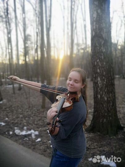 Репетитор по скрипке