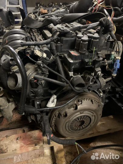 Двигатель форд фокус 1.6 hxda