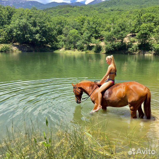 Конные прогулки. Экскурсии на лошадях по Крыму