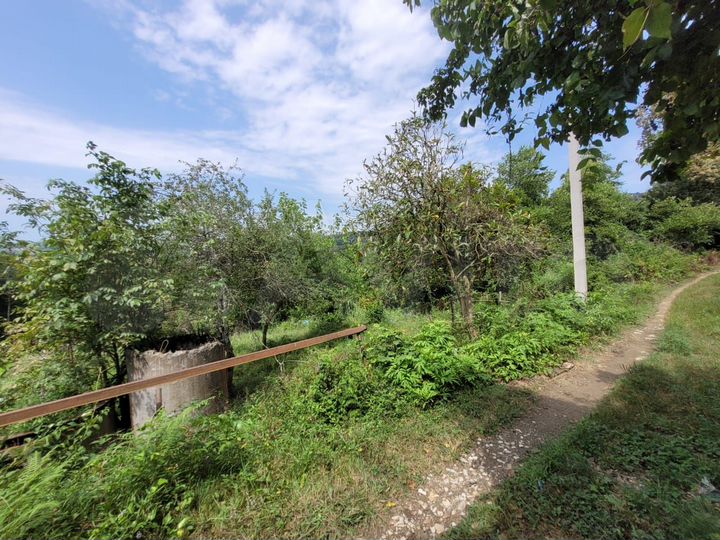 Участок 6,3 сот. (СНТ, ДНП)