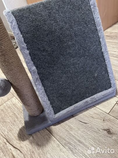 Когтеточка