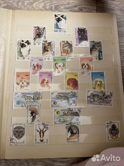Продам альбом с марками