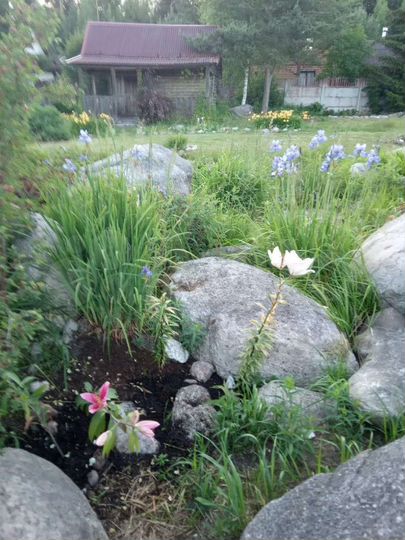 Участок 20 сот. (СНТ, ДНП)