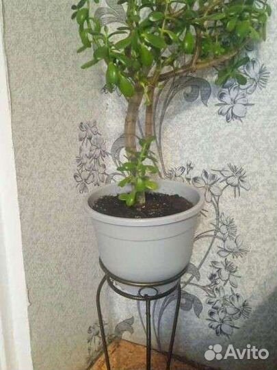 Подставка для цветов