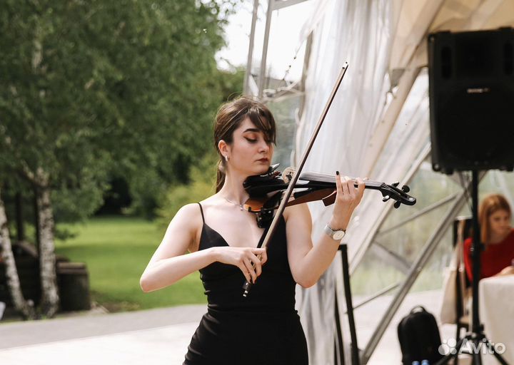 Скрипка на праздник. Воронеж, Орел