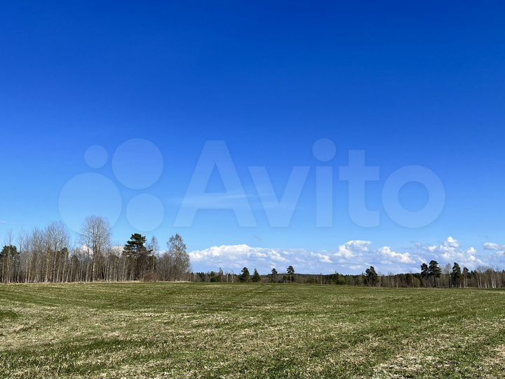 Участок 2 га (СНТ, ДНП)