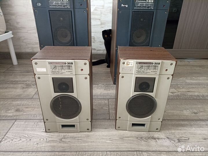 Колонки radiotehnika s 30b