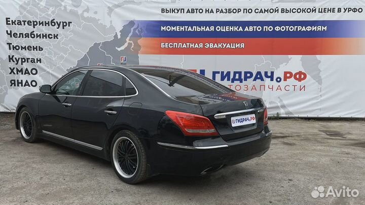 Лента крепления бензобака Hyundai Equus (VI)