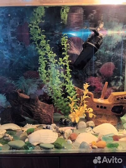 Аквариум