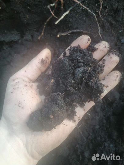 Перегной. Навоз. Торф. Земля. Песок