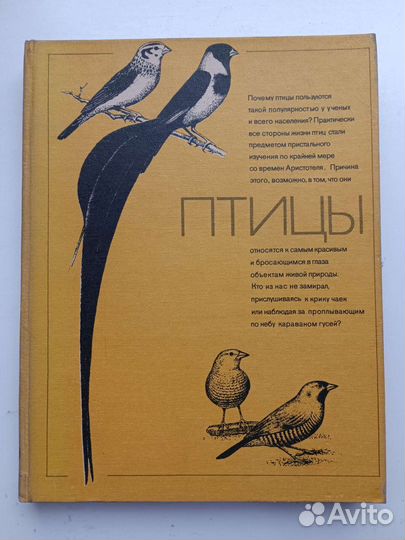 Птицы книга