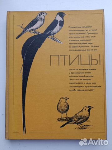 Птицы книга
