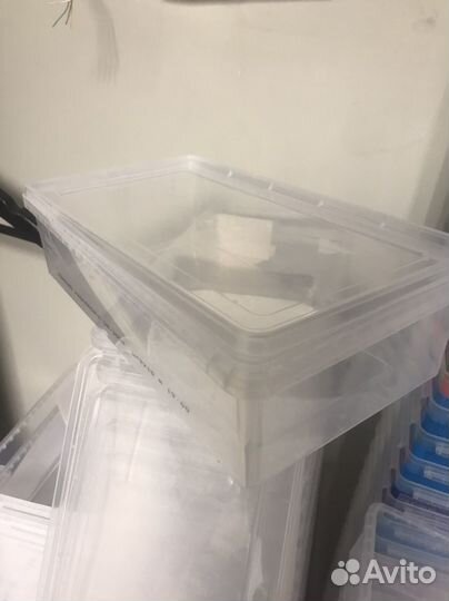 Контейнер пластиковый