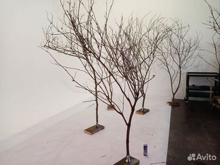 Коряги для интерьера