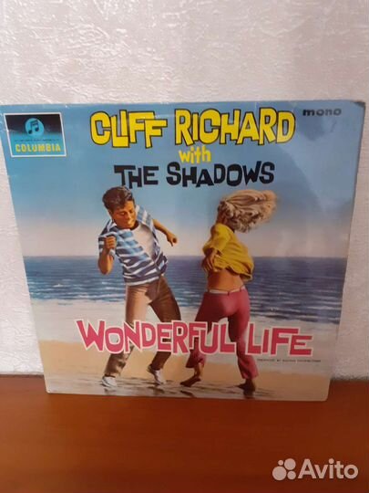 Виниловая пластинка