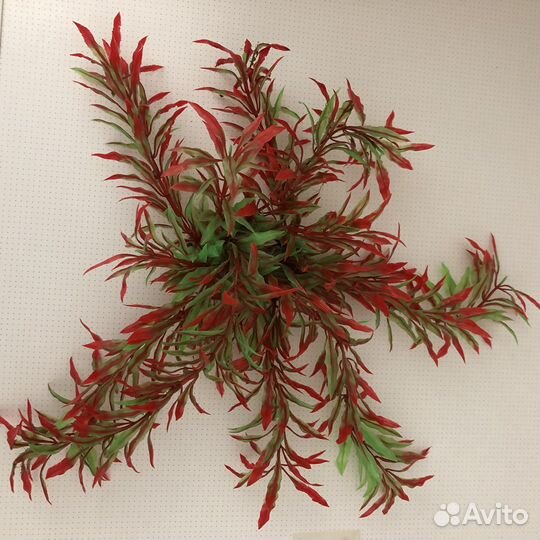 Растения для аквариума пластик