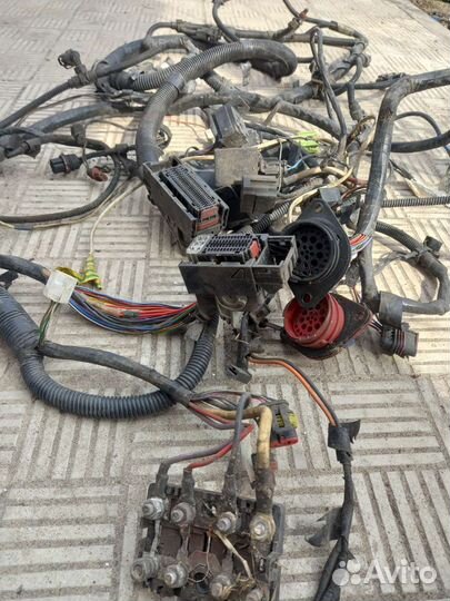 Жгут проводов газель некст камминз 2.8