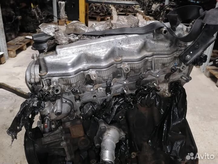 Двигатель Nissan Pathfinder 2.5 DCi YD25