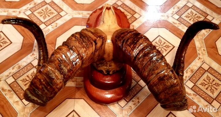 Рога барана на подставке