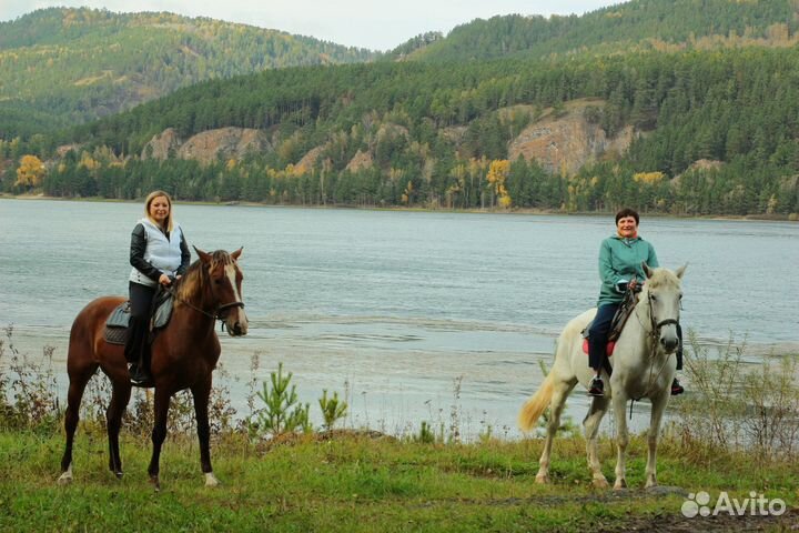 Конные прогулки по берегу Енисея