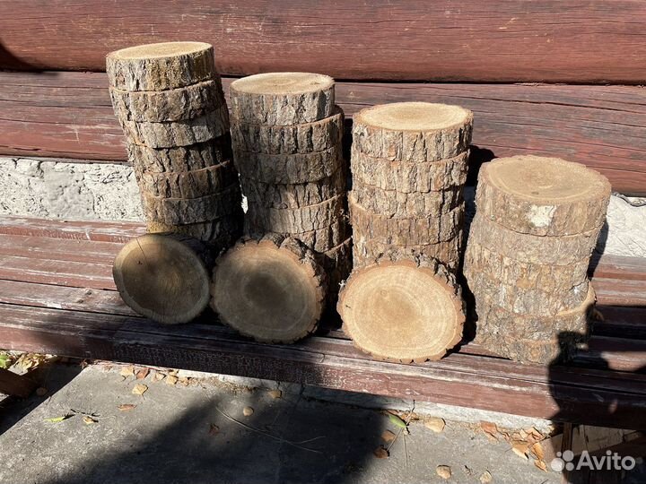 Спилы хвойные и березовые