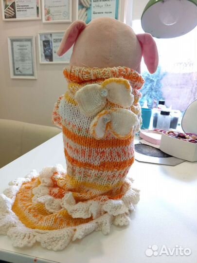 Нарядные платья для кошки