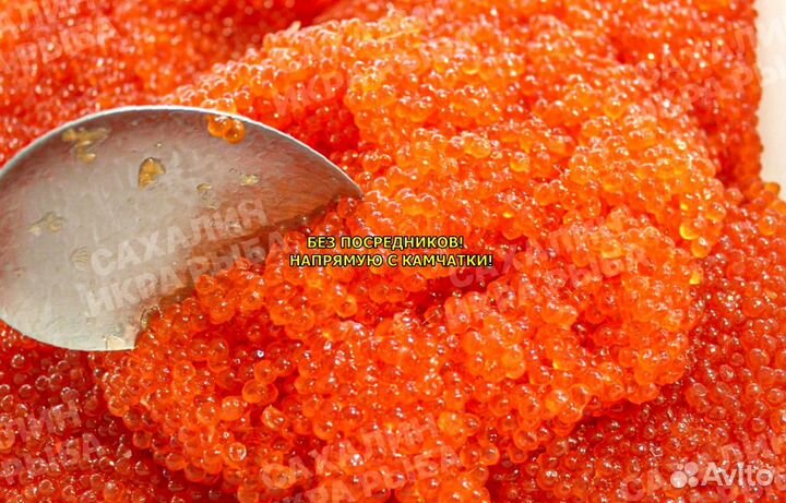 Красная икра