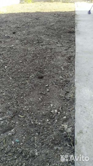 Работа в саду и огороде