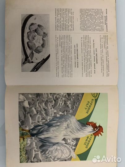 Книга о вкусной и здоровой пище 1955
