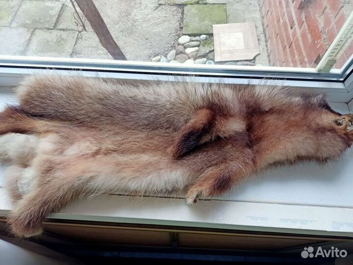 Шкура енота