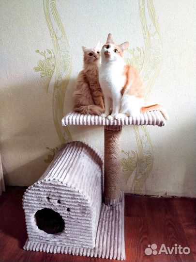 Кошачий домик с когтеточкой 