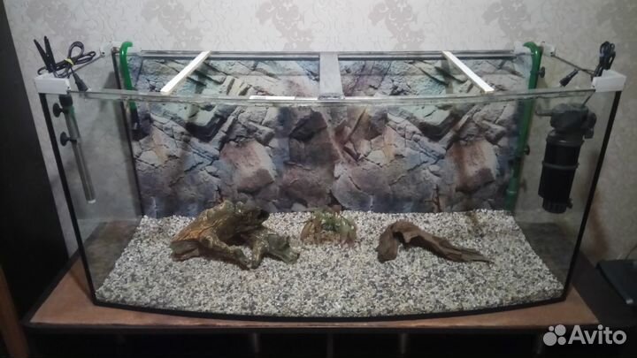 Аквариум панорама 350 л