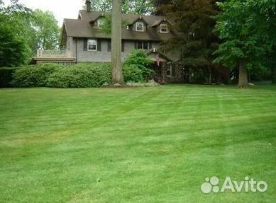 Рулонный газон