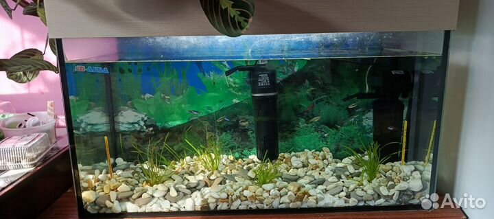 Аквариум с рыбками