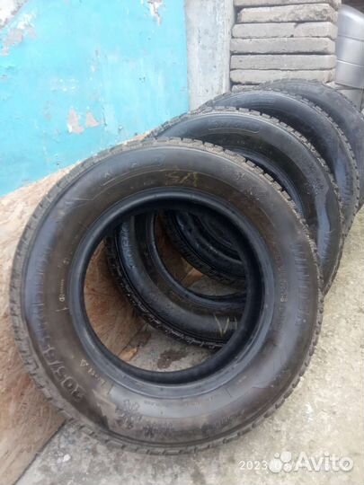 Tigar Winter 205/65 R15 94T