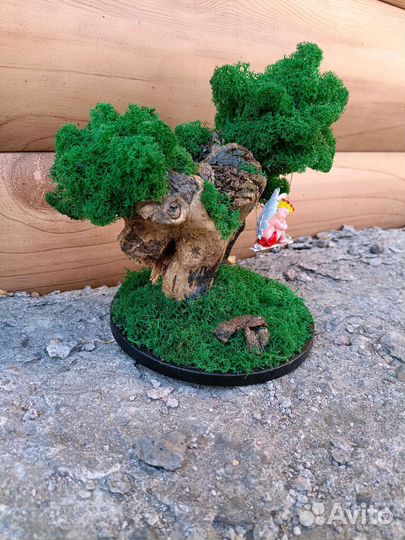 Настоящий мох. Оригинальные подарки