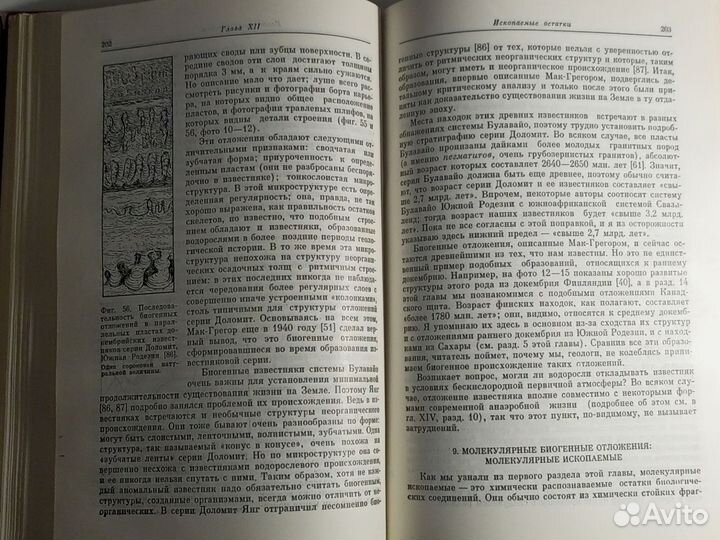 Руттен М. Происхождение жизни (естественным путем)