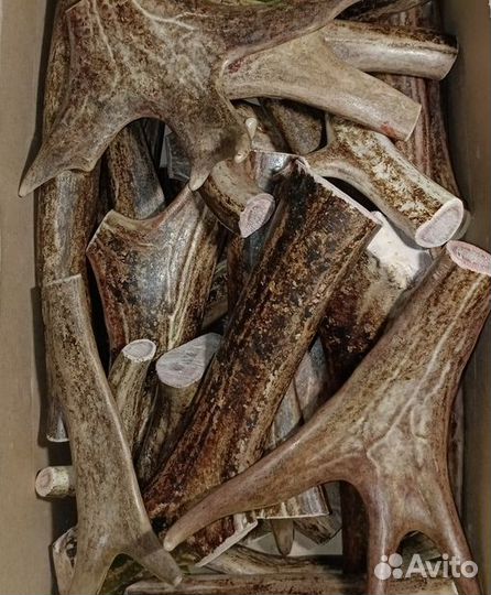 Мясо для собак, сушёные лакомства